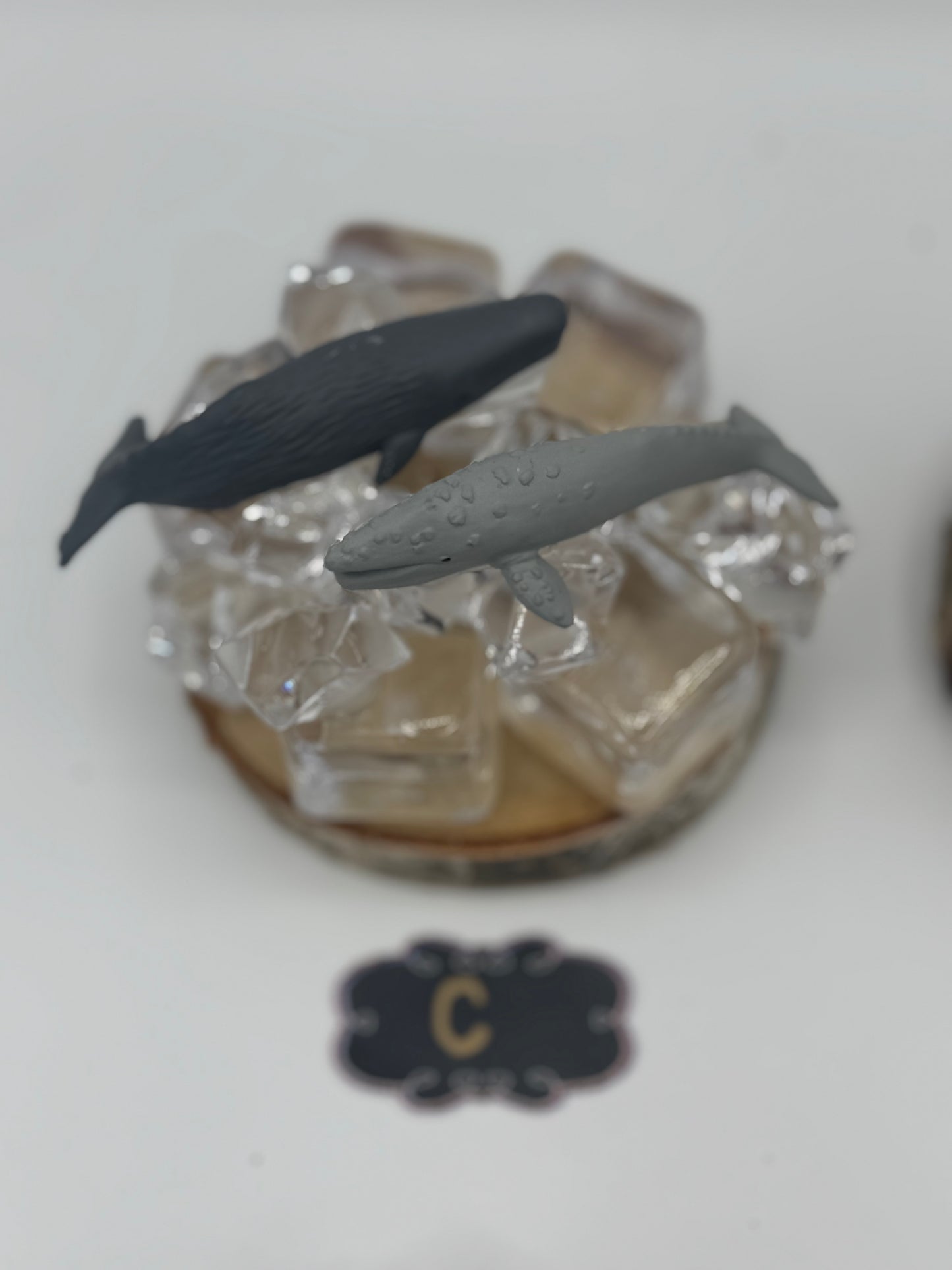 Playful Polar Animals on Ice Scene