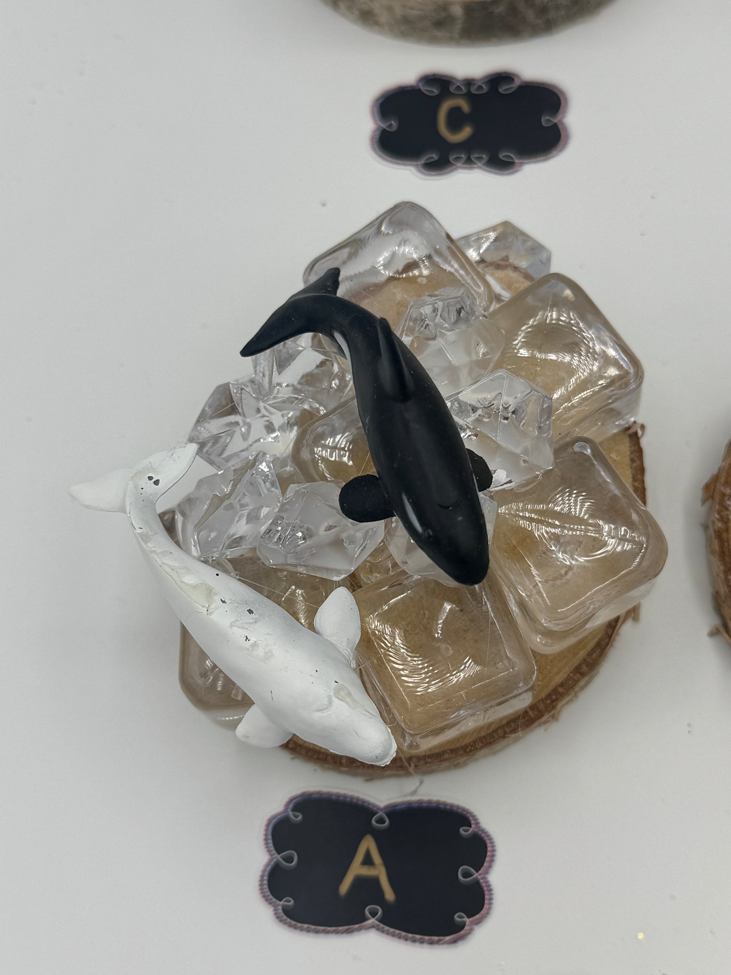 Playful Polar Animals on Ice Scene